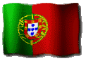 Portuguese National Flag